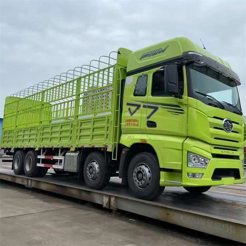 安定区东兴市物流：多元服务与高效运输线路探秘