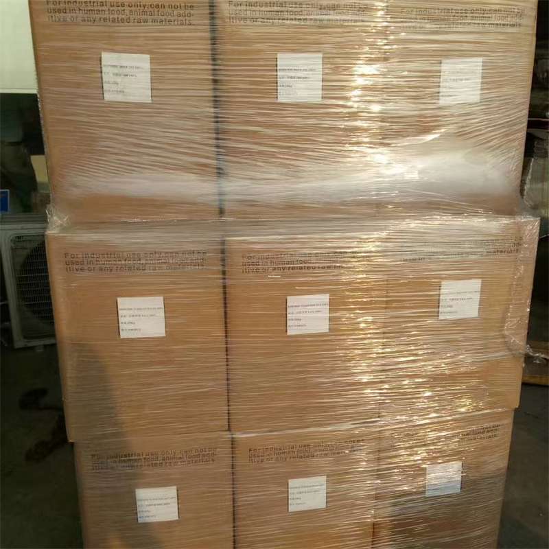 安定区苍梧县物流：多元服务与高效运输探秘