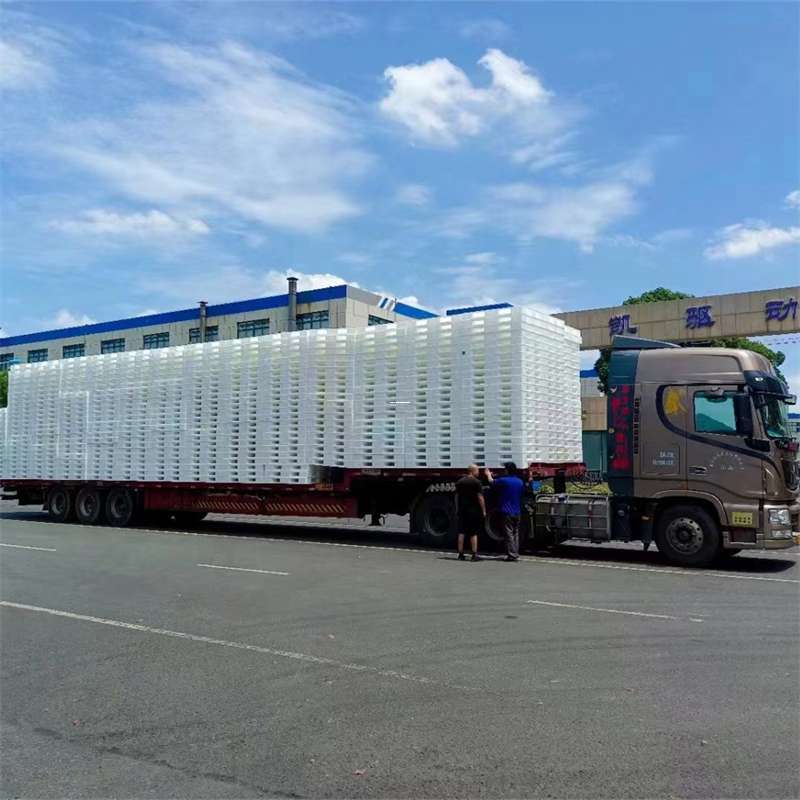 安定区黄埔区物流：多元服务与高效运输线路探秘