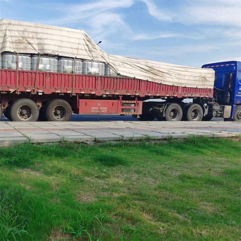 安定区枣阳市物流运输：多元服务与高效线路探秘