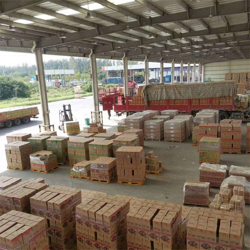 安定区尉犁县：物流专线的高效货运之旅