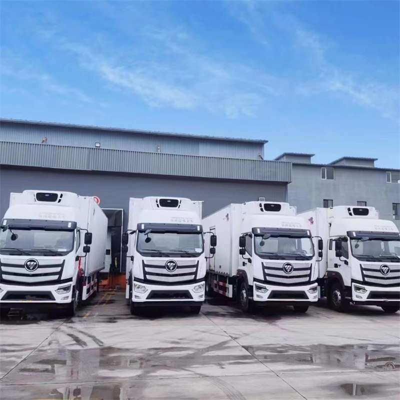 安定区武汉市物流运输：多元服务与线路探秘