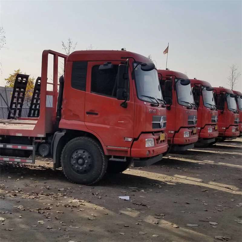 安定区平原县物流：多元专线与高效运输探秘