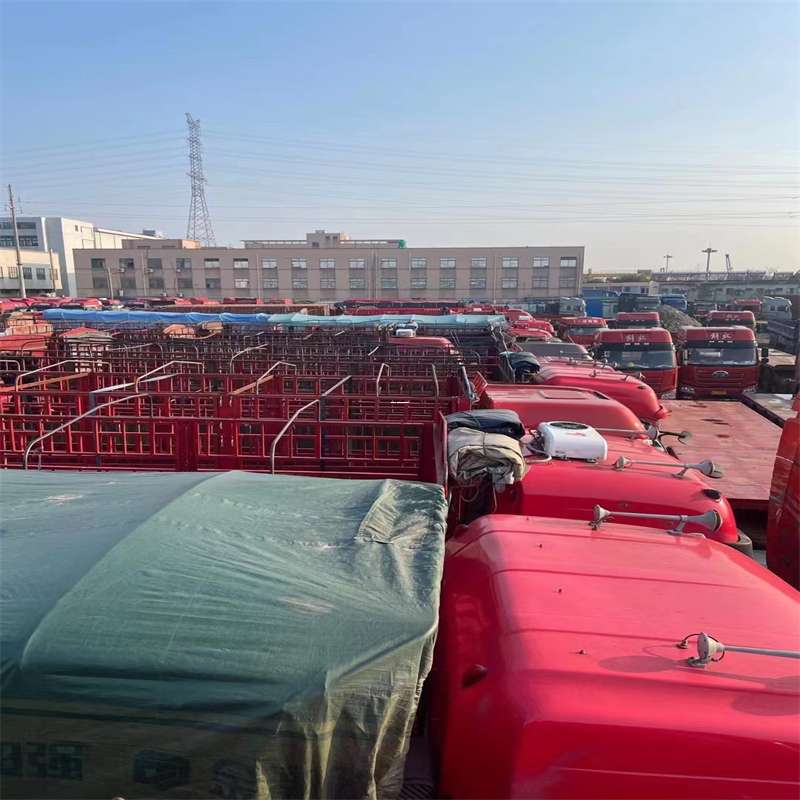 安定区栖霞市物流：多元运输服务与线路探秘