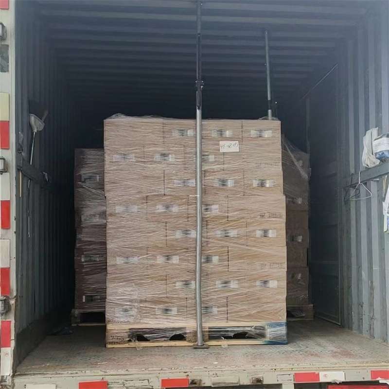 安定区龙岩市物流专线运输：多元服务与高效体验