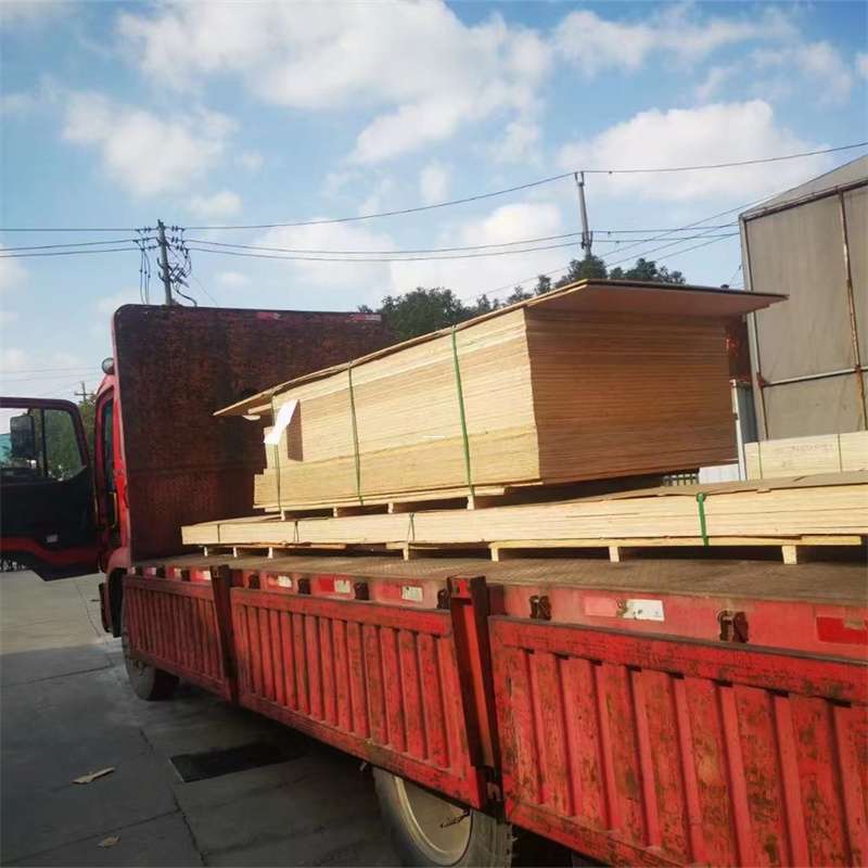 安定区通化市物流运输：多元服务与高效线路探秘