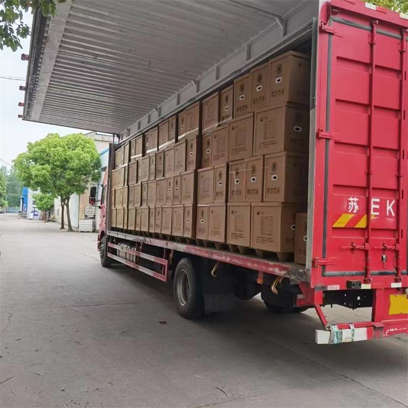 安定区井陉矿区物流：多元服务与高效运输线路探秘