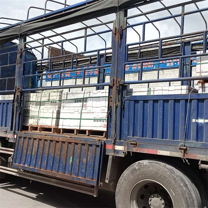 安定区隆子县进仓物流：专线直达的多元货运探索