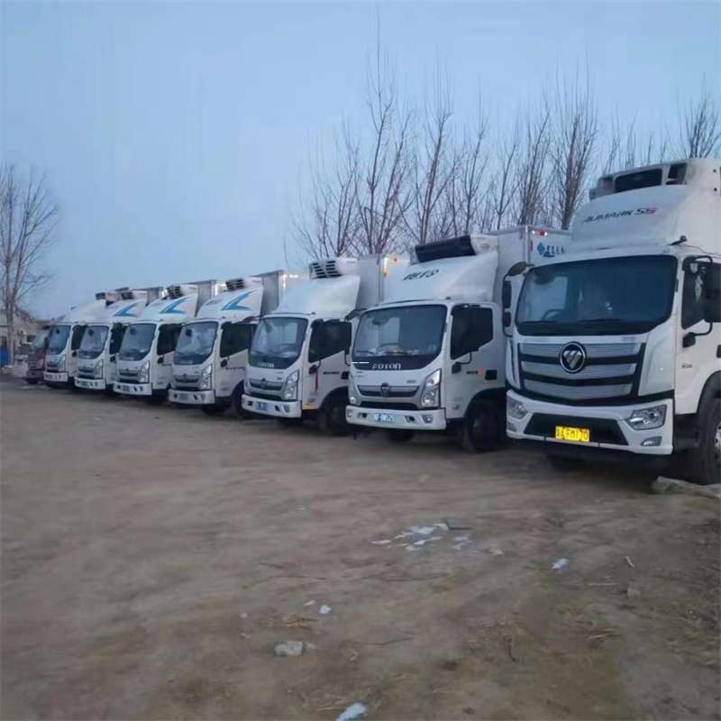 安定区巩留县物流运输：专线直达与多样服务探索