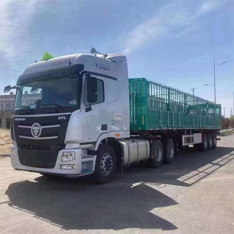 安定区乌鲁木齐市进仓物流：多元专线直达运输探索