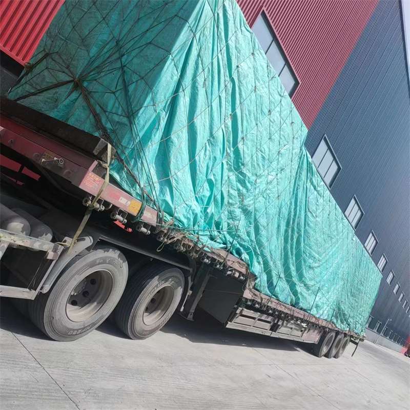 安定区肃南县：物流专线的高效货运之旅