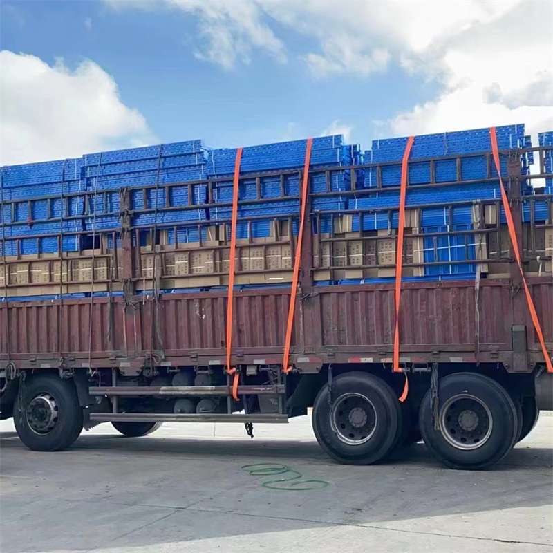 安定区探索城东区进仓物流的多元世界与运输奥秘