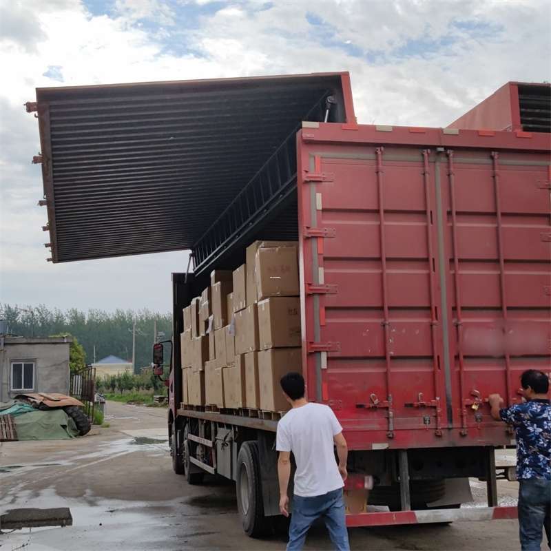 安定区扎囊县：物流专线的高效货运之旅