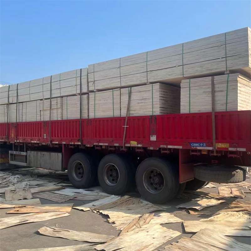 安定区岑巩县物流：多元服务与高效运输线路探秘